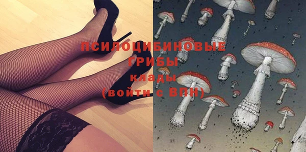 МДПВ Алзамай
