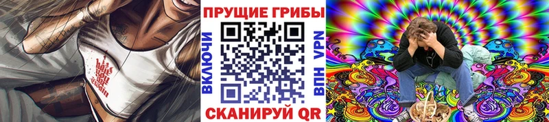 Купить  Тавда  Галлюциногенные грибы прущие грибы 
